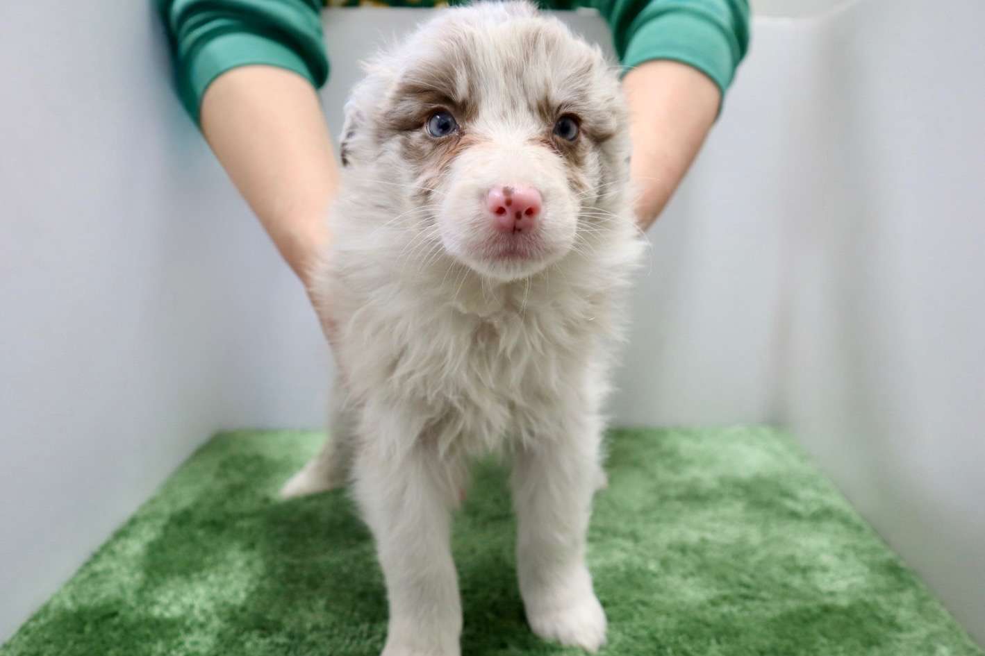 ご家族様が決まりました♪